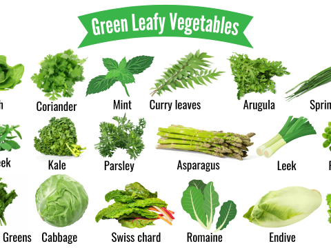 leafy
