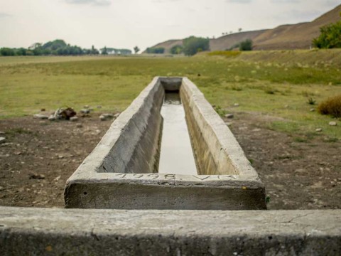 trough