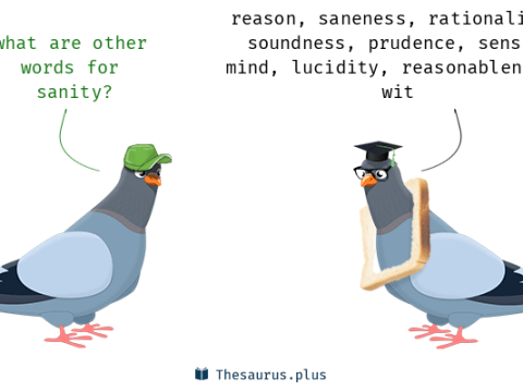 sanity
