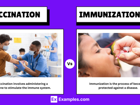 vaccination