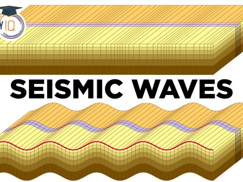 seismic