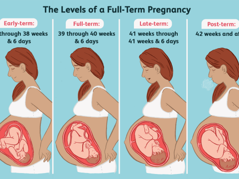 maternity