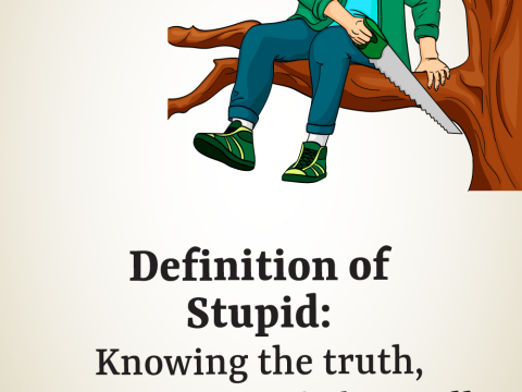 stupidity