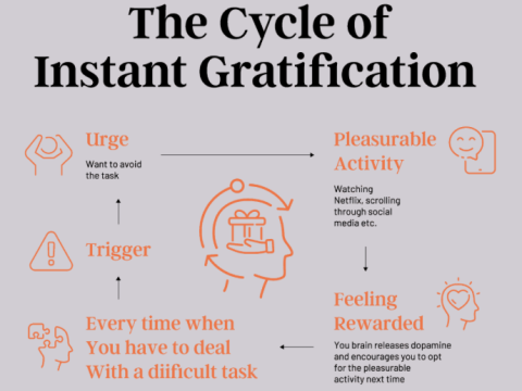 gratification