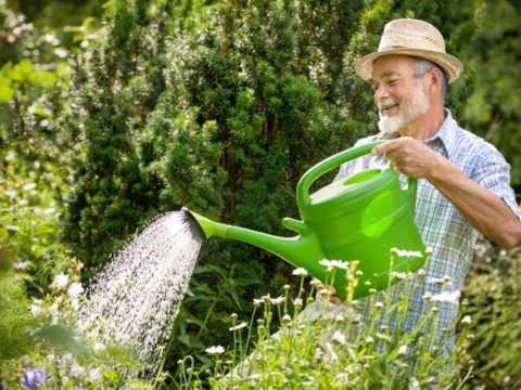 watering