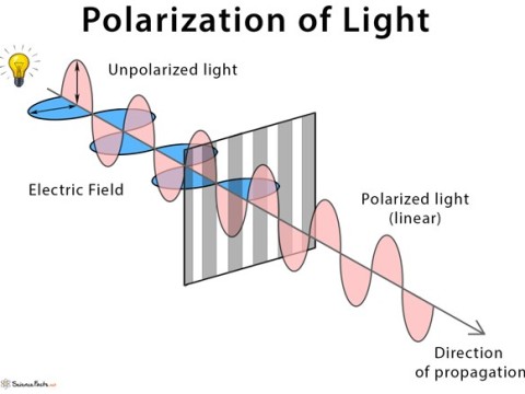 polarization