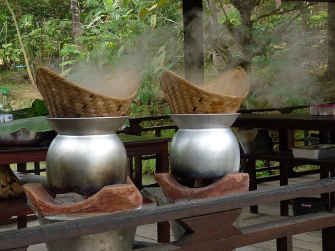 steamed