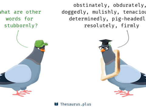 stubbornly