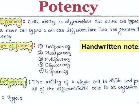 potency