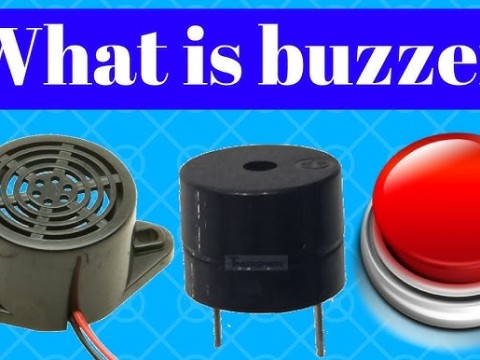 buzzer
