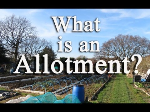 allotment