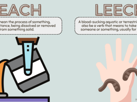 leach