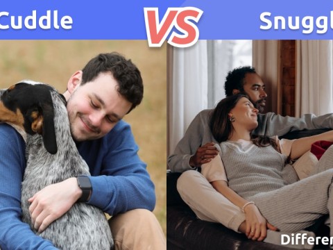 cuddle