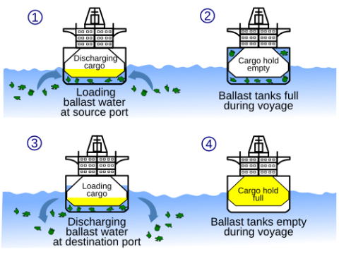 ballast