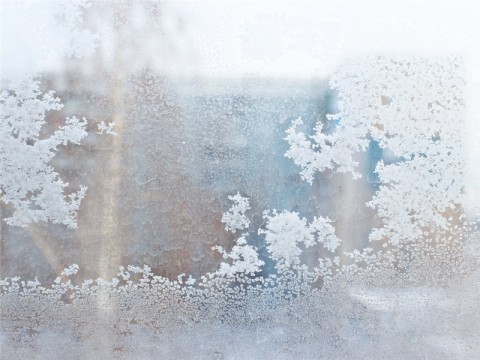 frosted