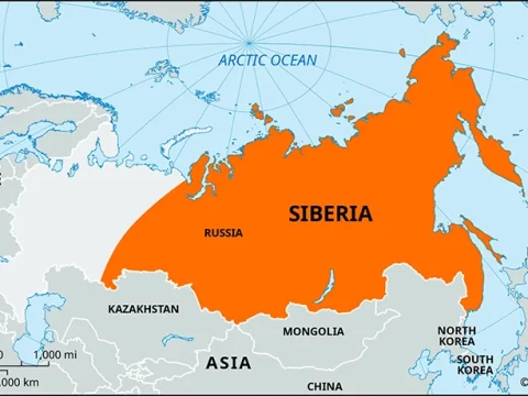 Siberian