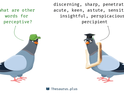 perceptive