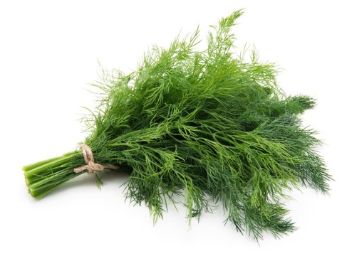 dill
