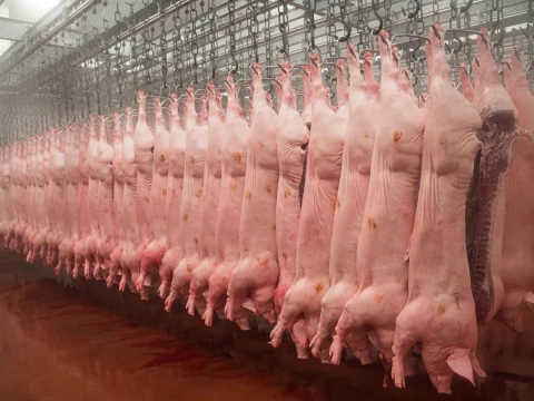 slaughterhouse