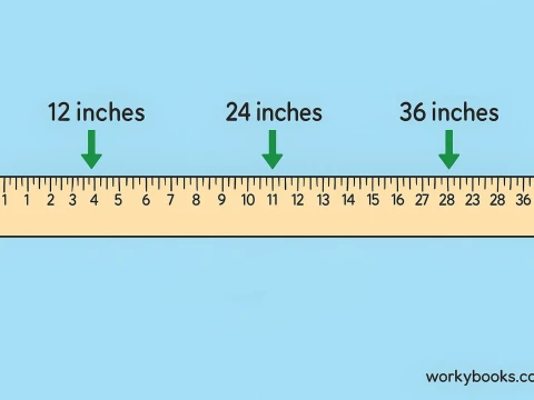 yardstick