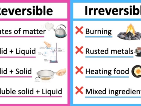 reversible