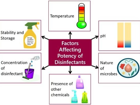 disinfectant