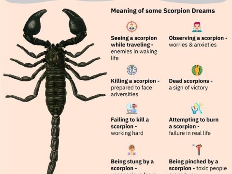 scorpion