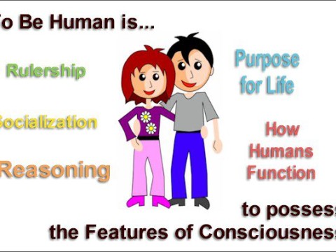 humanly