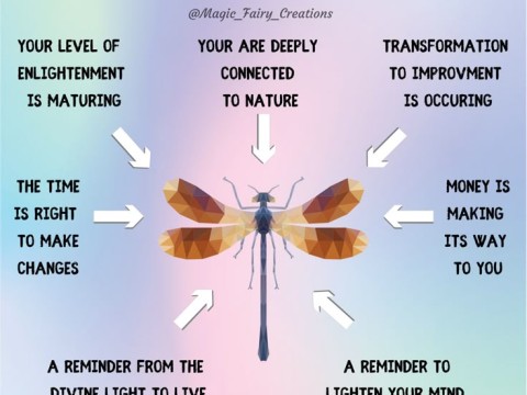dragonfly