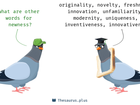 newness