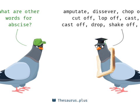 abscise