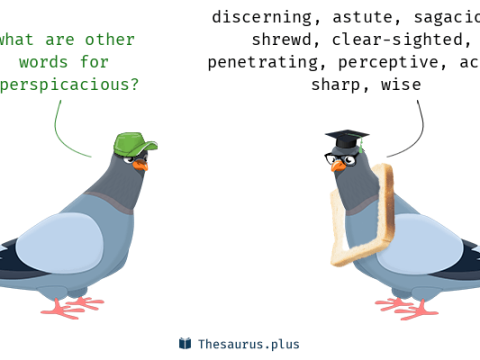 perspicacious