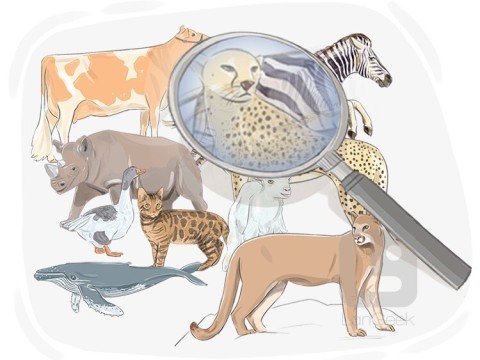 zoology