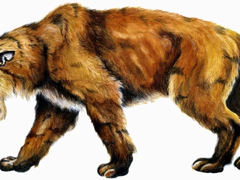 sabre-toothed