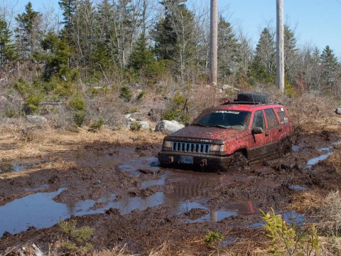 bogged