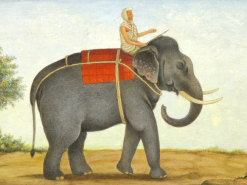 mahout