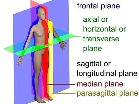 transverse