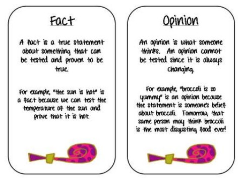 opinion