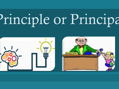 principle