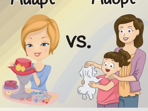 adopt