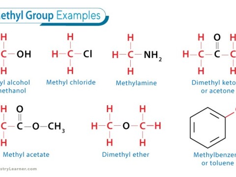 methyl