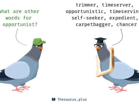 opportunist