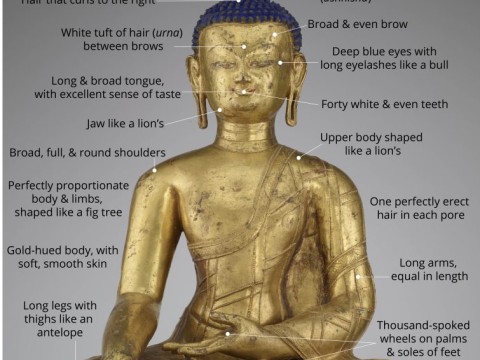 Buddha