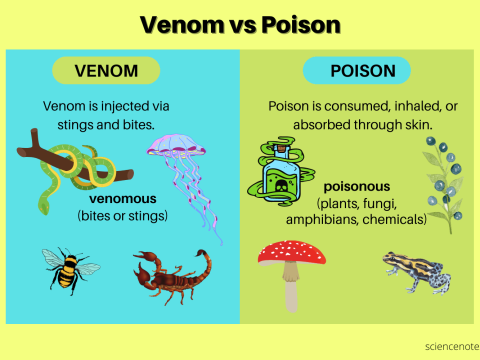 venomous