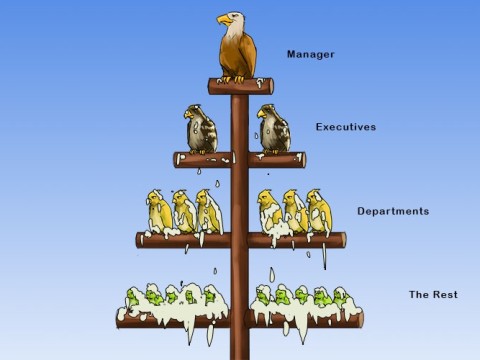 centralise