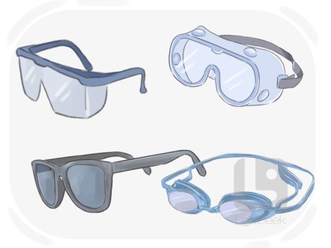 goggle