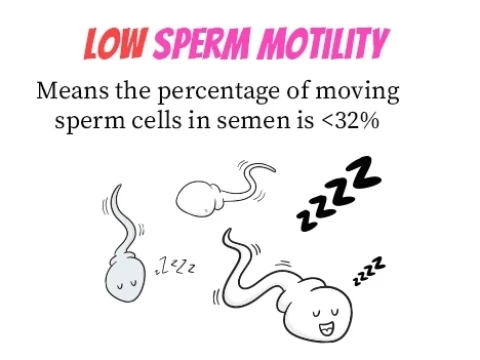 motility