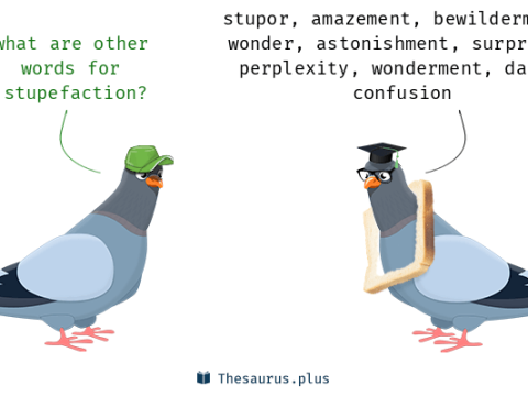 stupefaction