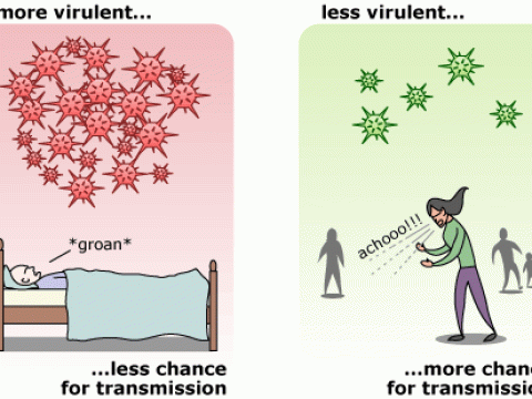 virulence