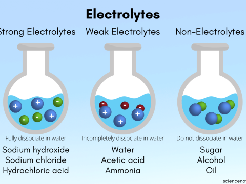 electrolyte